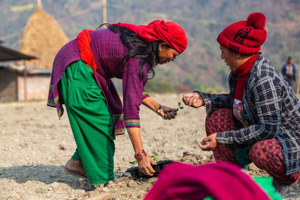 161 Panchkanya Nuwakot