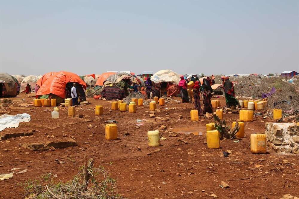 34693694536 07e63266e3 c