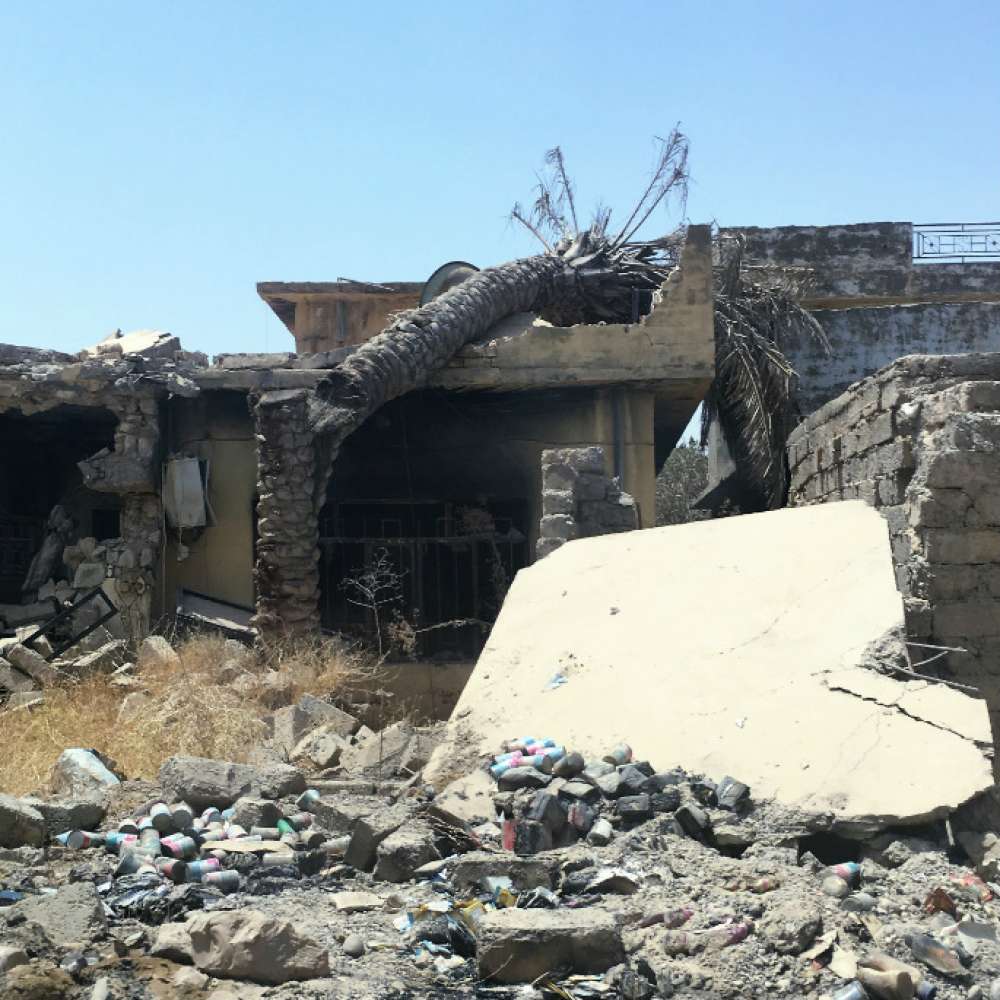 Baiji Destruction 1 685X685
