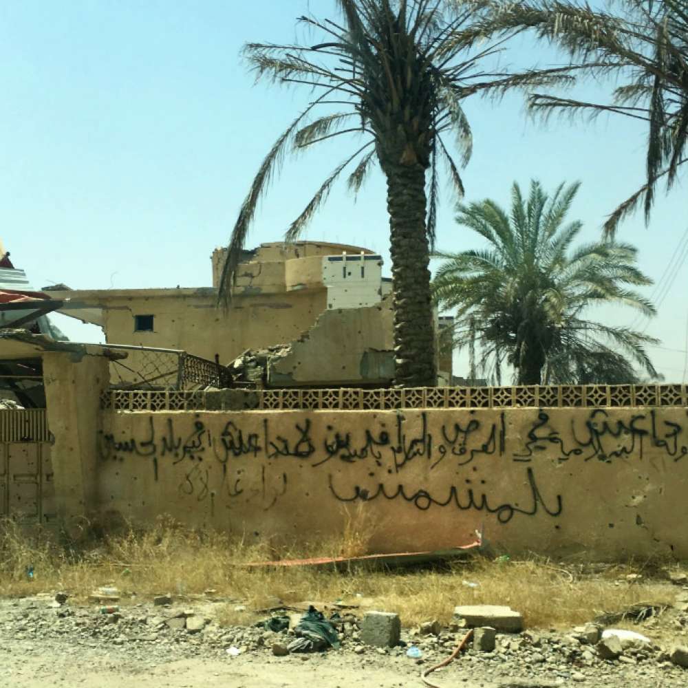 Baiji Destruction 2 685X685