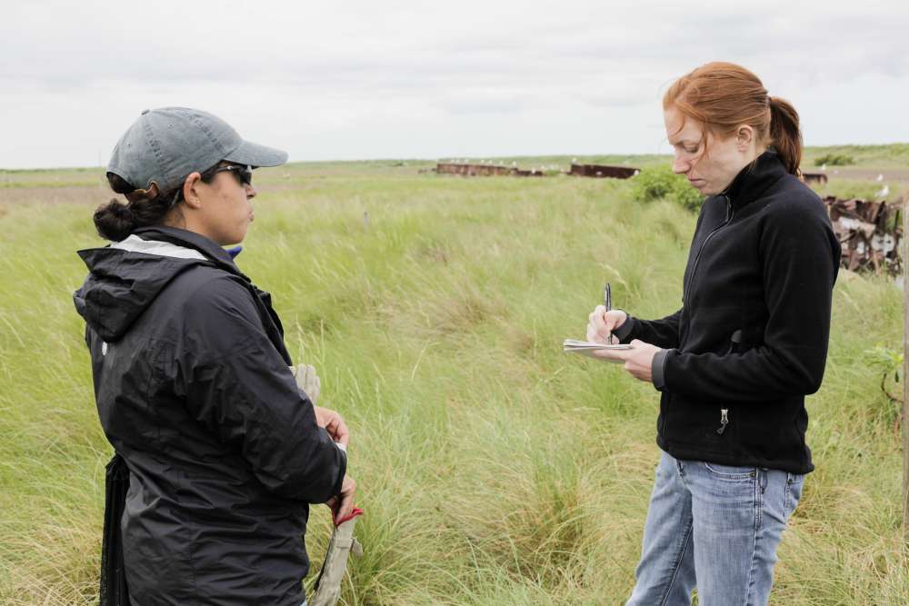 Saliba 2020 Safer Field Research