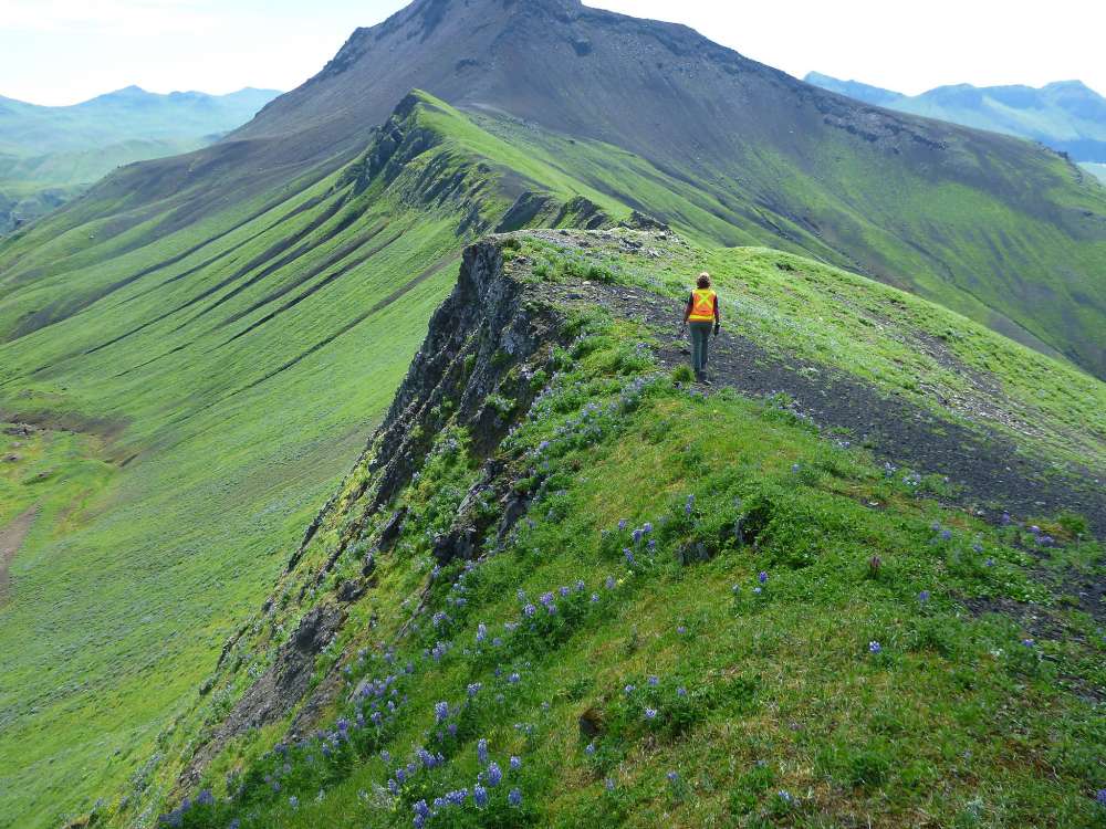 Saliba 2021 COVID and Field Work